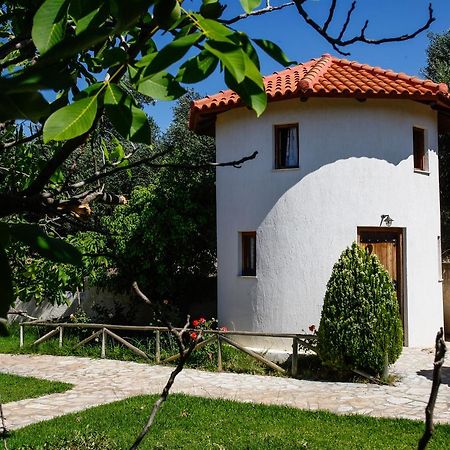 Kefalonian Mill - Oneira Villas トラペザキ エクステリア 写真